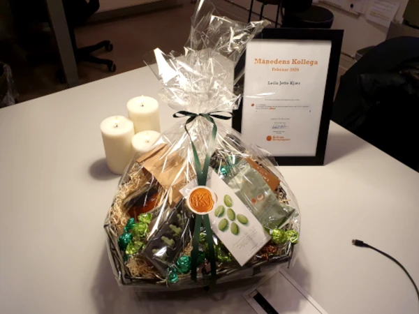 Read more about the article Månedens Kollega – februar 2026
